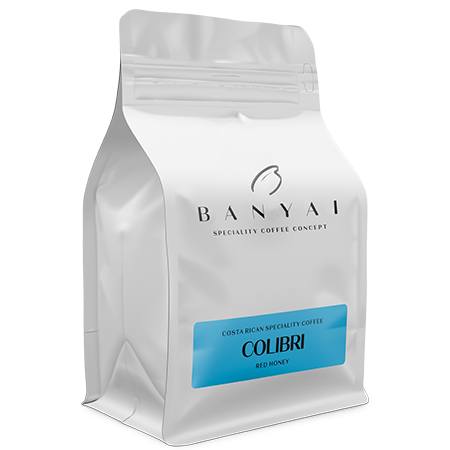 Bányai Speciality Coffee Concept