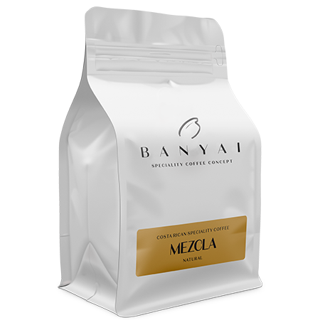 Bányai Speciality Coffee Concept