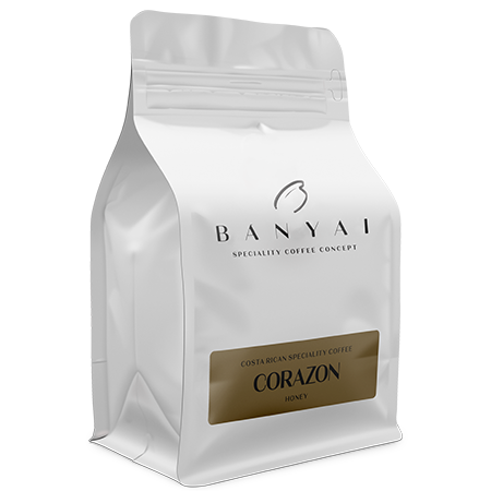 Bányai Speciality Coffee Concept