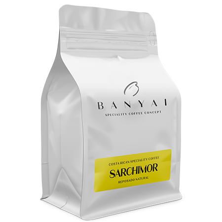 Bányai Speciality Coffee Concept