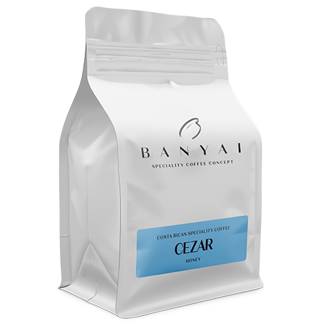 Bányai Speciality Coffee Concept