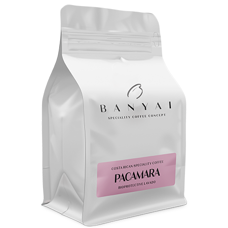 Bányai Speciality Coffee Concept