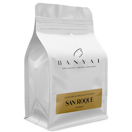 Bányai Speciality Coffee Concept