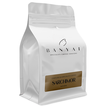 Bányai Speciality Coffee Concept
